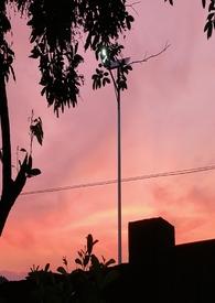 乖娇（1v3 兄妹 h）